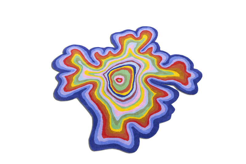 Colorful Amoeba Hand Tufted Area Rug