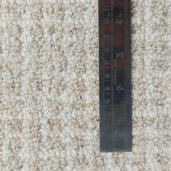 Arden Oatmeal Ivory Hand-Tufted Wool Rug | Textured High Loop Pile Modern Area Rug